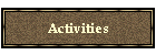 Activities a at The Camel Farm