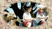 Camel rides make fantastic school excursions