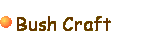 Click here to find out more about bush craft