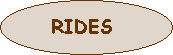 Prices for camel rides